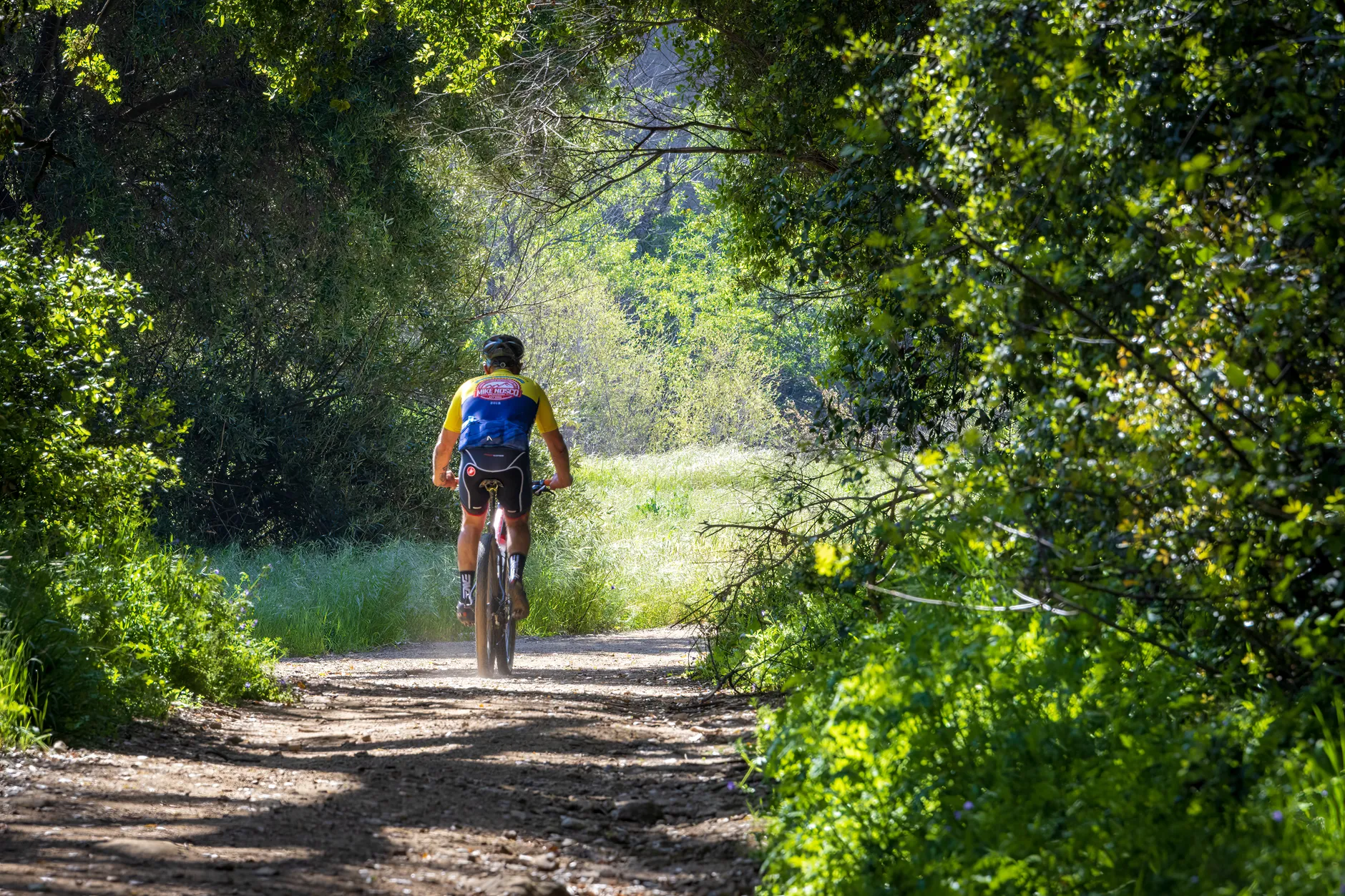 A mountain biker on a wooded trail